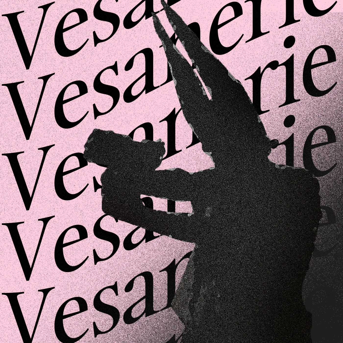 Vesanerie
